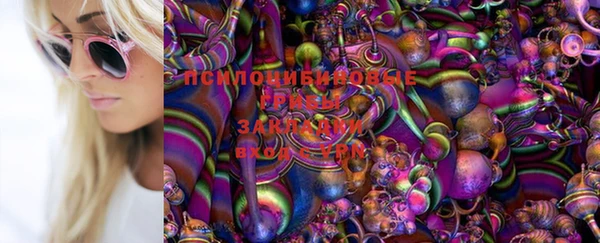 прущий лед Магас
