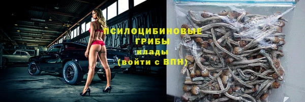 прущий лед Майский