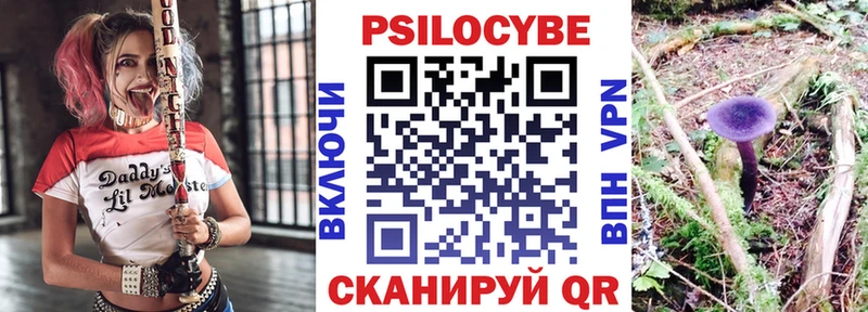 Псилоцибиновые грибы мицелий  Купить  Мостовской 